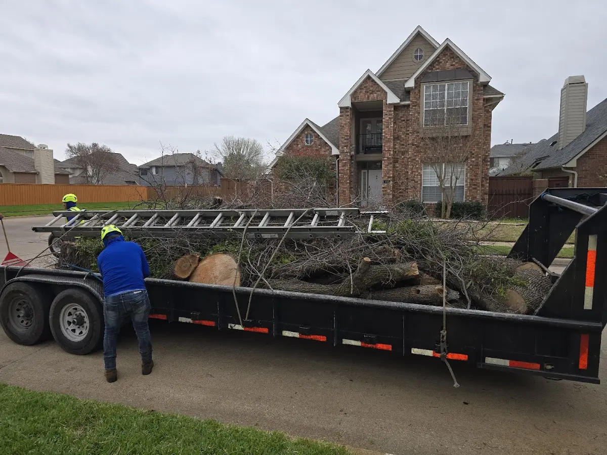 Expert Lot Clearing with proper safety equipment in Crosbyton